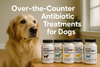 Over-the-Counter Antibiotic Treatments for Dogs: Safe No‑Rx Options That Work