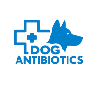 Dogs Antibiotics