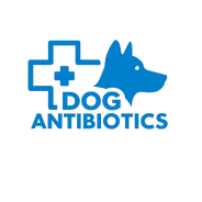 Dogs Antibiotics
