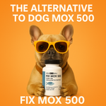 Dog Amoxicillin 500mg – 100 Capsules