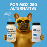 Dog Amoxicillin 250mg – 100 Capsules