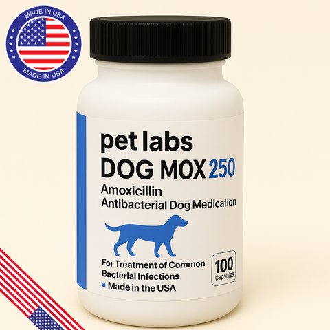 Dog Amoxicillin 250mg 100 Capsules