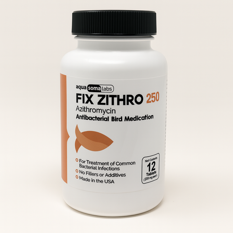 Fish/Bird Zithro 250mg 12 Tablets