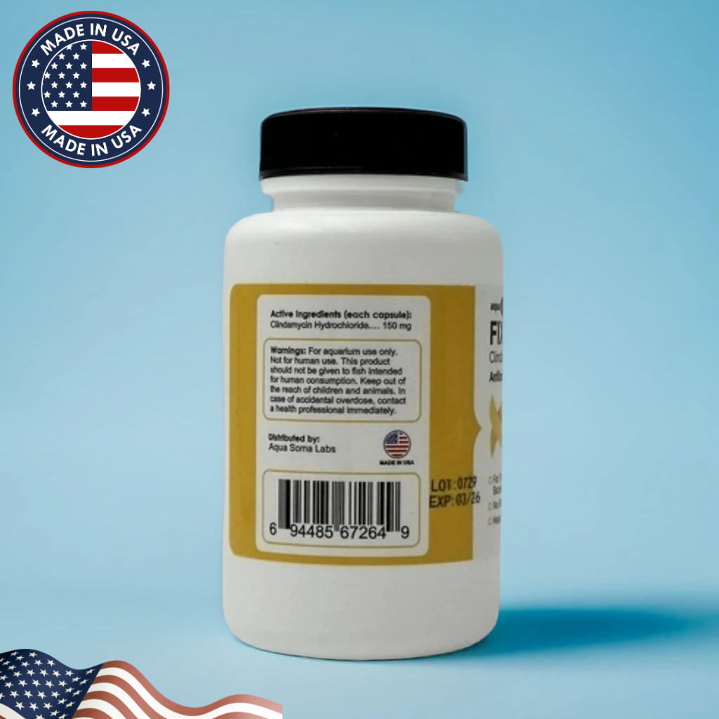 Clindamycin for Fish – Skin Lesions, Fin Rot, and Internal Disease Relief