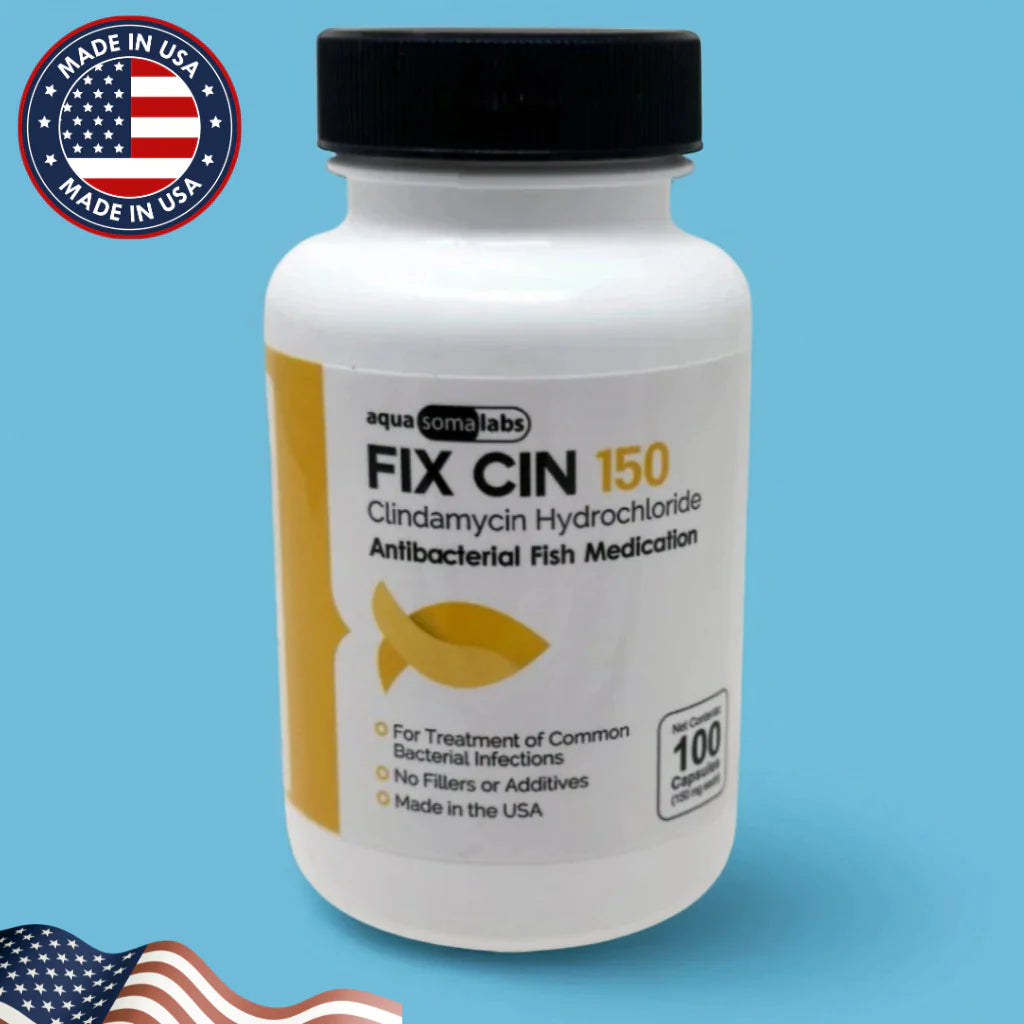 Dog Clindamycin 150mg – 100 Capsules