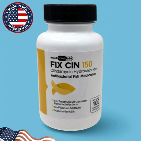 Dog Clindamycin 150mg 100 Capsules
