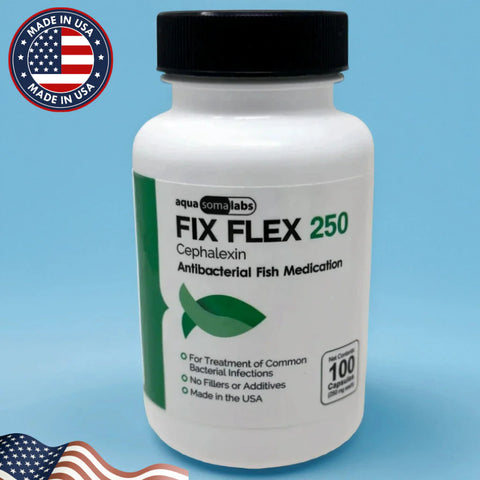 Dog Cephalexin 250mg 100 Capsules