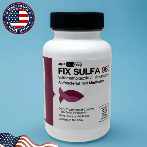 Dog Sulfamethoxazole/Trimethoprim 960mg 30 Tablets