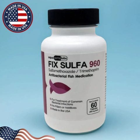 Dog Sulfamethoxazole/Trimethoprim 960mg 60 Tablets