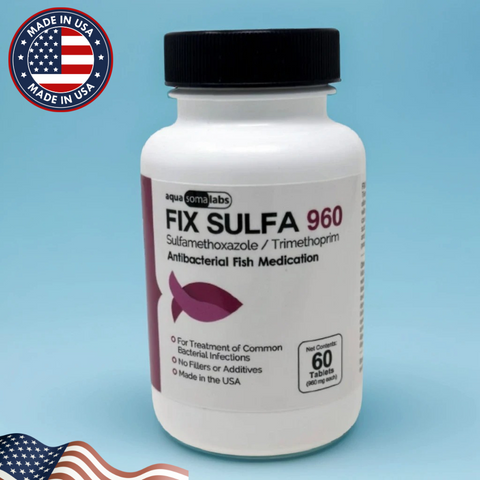 Fish Sulfa 960mg – 60 Tablets 