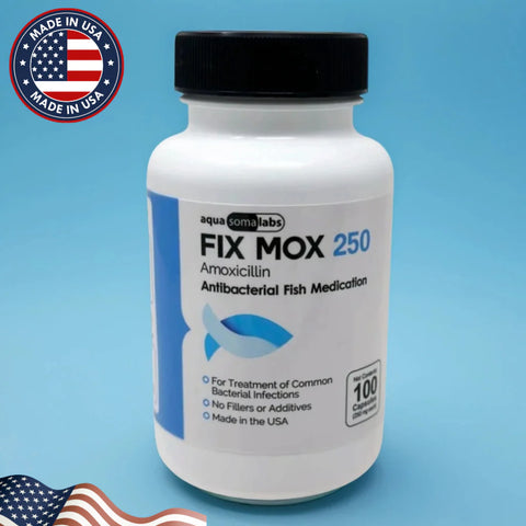 Dog Amoxicillin 250mg 100 Capsules