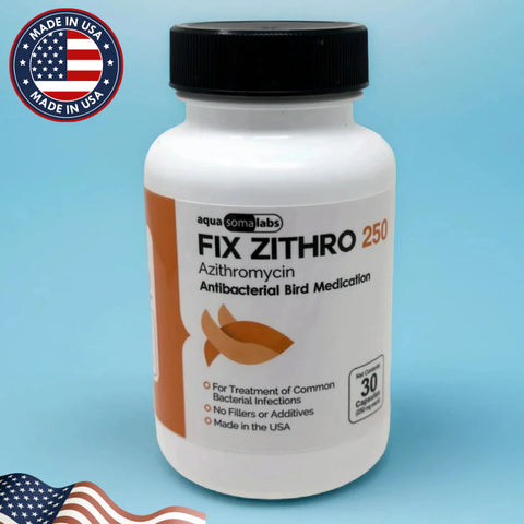 Dog Azithromycin 250mg 30Tablets