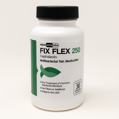 Fish Flex 250mg 30 Capsules