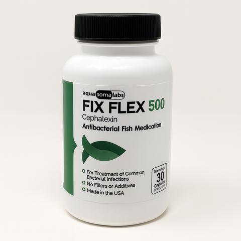 Fish Flex 500mg 30 Capsules