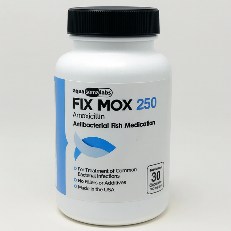 Fish Mox 250 mg 30 Capsules