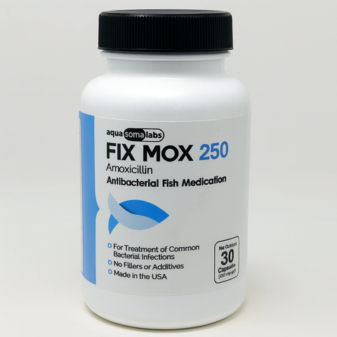 Fish Mox 250 mg 30 Capsules