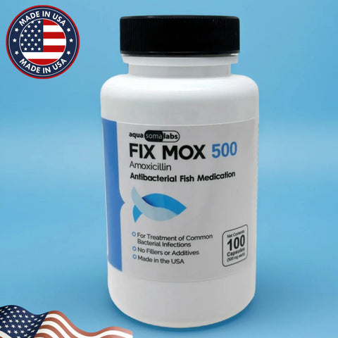 Dog Amoxicillin 500mg 100 Capsules