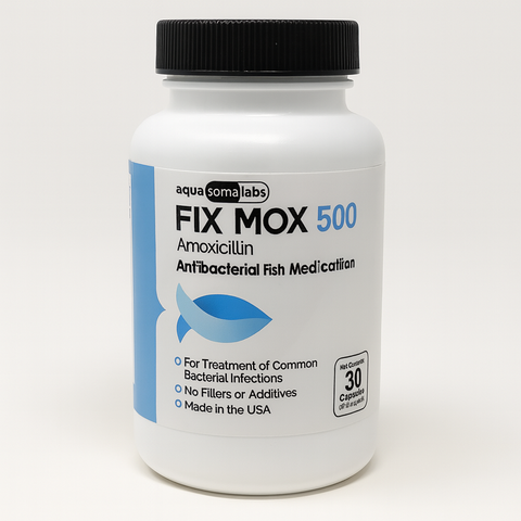 Fish Mox 500 mg 30 Capsules